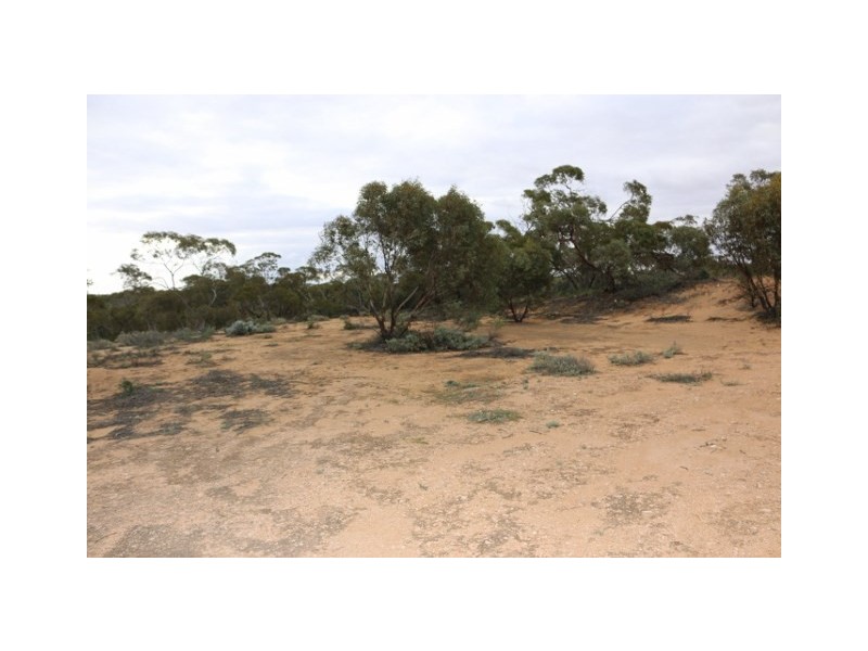 3131 Murbko Road, Morgan SA 5320