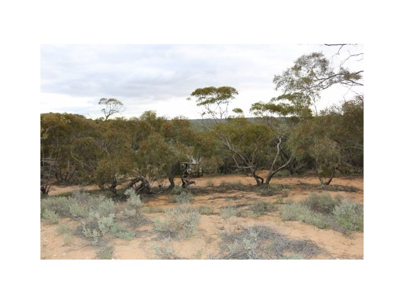 3131 Murbko Road, Morgan SA 5320