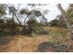 3131 Murbko Road, Morgan SA 5320