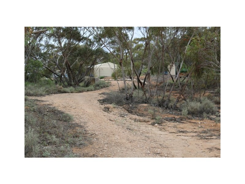 3131 Murbko Road, Morgan SA 5320