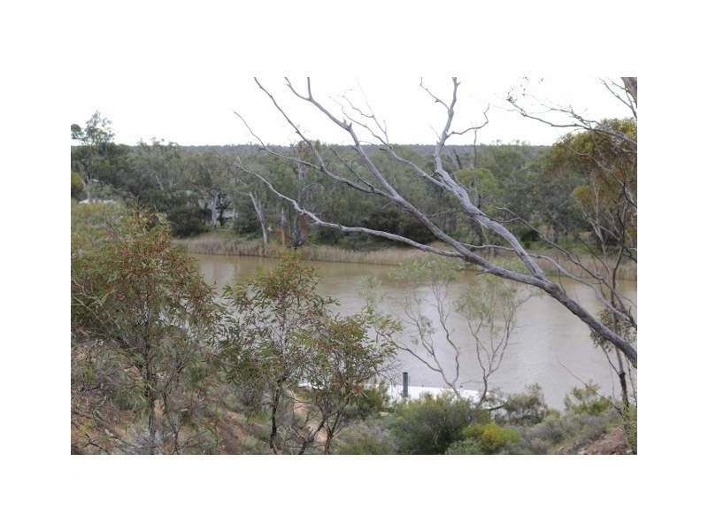 3131 Murbko Road, Morgan SA 5320