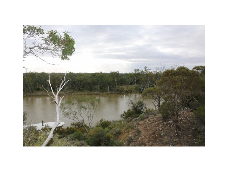 3131 Murbko Road, Morgan SA 5320