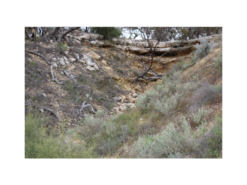 3131 Murbko Road, Morgan SA 5320