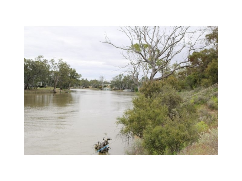 3131 Murbko Road, Morgan SA 5320