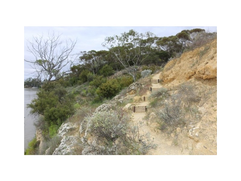 3131 Murbko Road, Morgan SA 5320