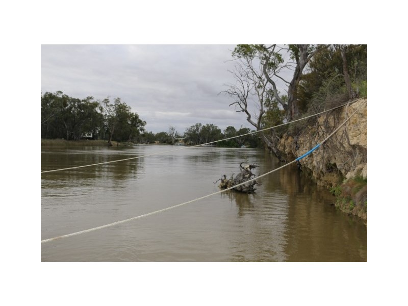 3131 Murbko Road, Morgan SA 5320