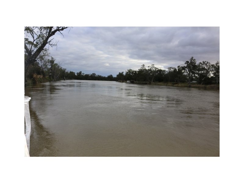 3131 Murbko Road, Morgan SA 5320