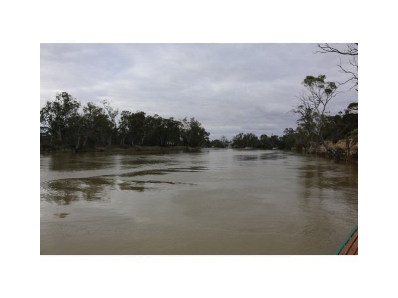 3131 Murbko Road, Morgan SA 5320