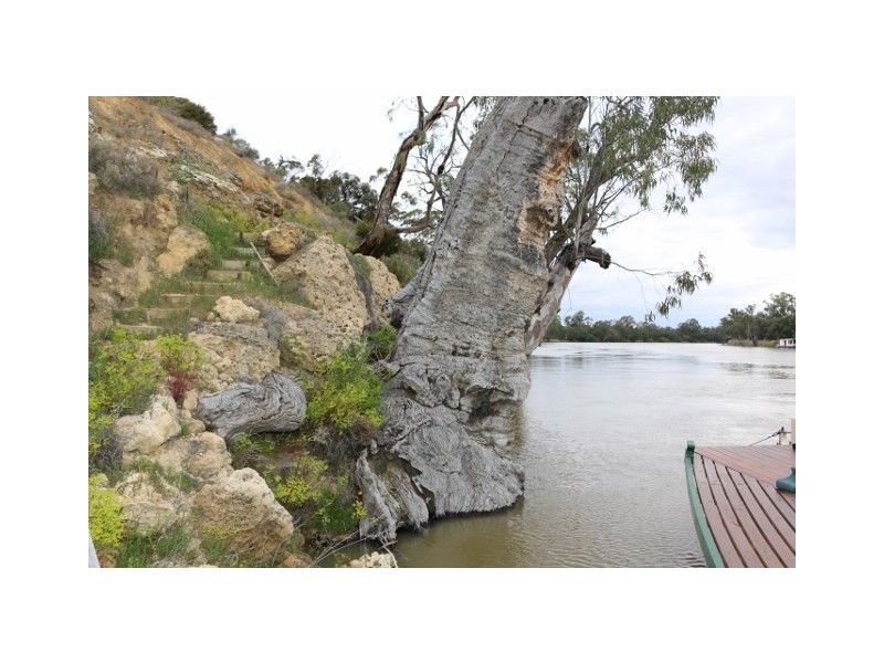 3131 Murbko Road, Morgan SA 5320