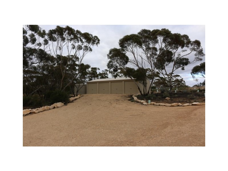 3131 Murbko Road, Morgan SA 5320