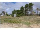 Lot 20 Sturt Highway,, Barmera SA 5345