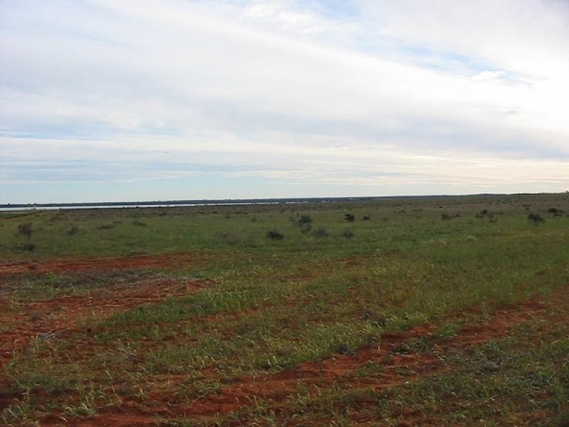 Lot 43 Queen Elizabeth Drive, Barmera SA 5345