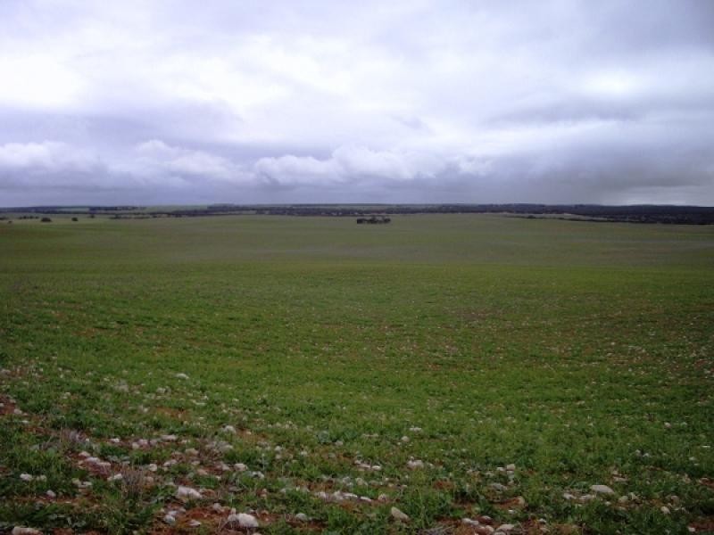 48 , 49, 50 and 51 HD of Wilson, Sandalwood SA 5309