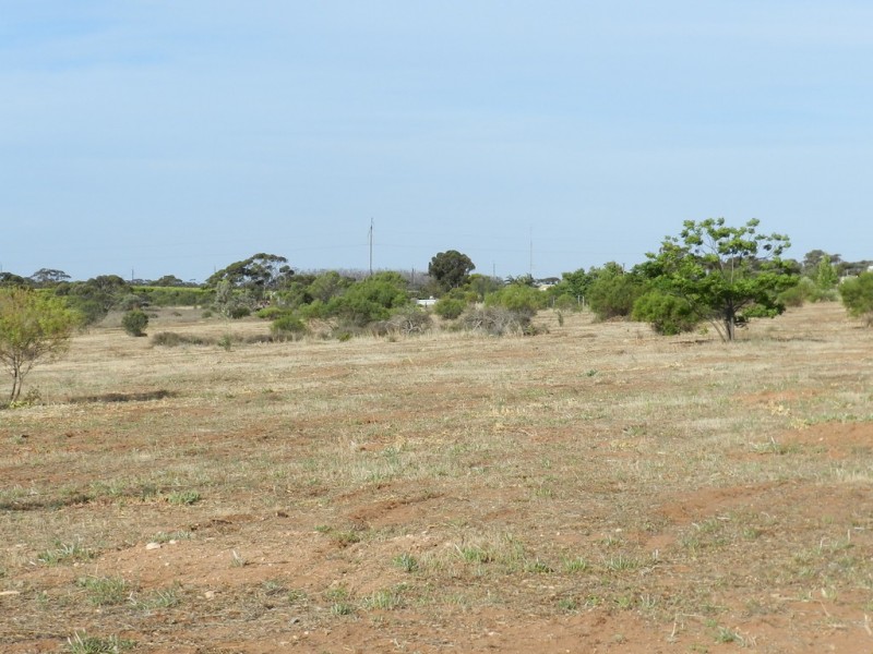 Section 75 Moss Road, Monash SA 5342