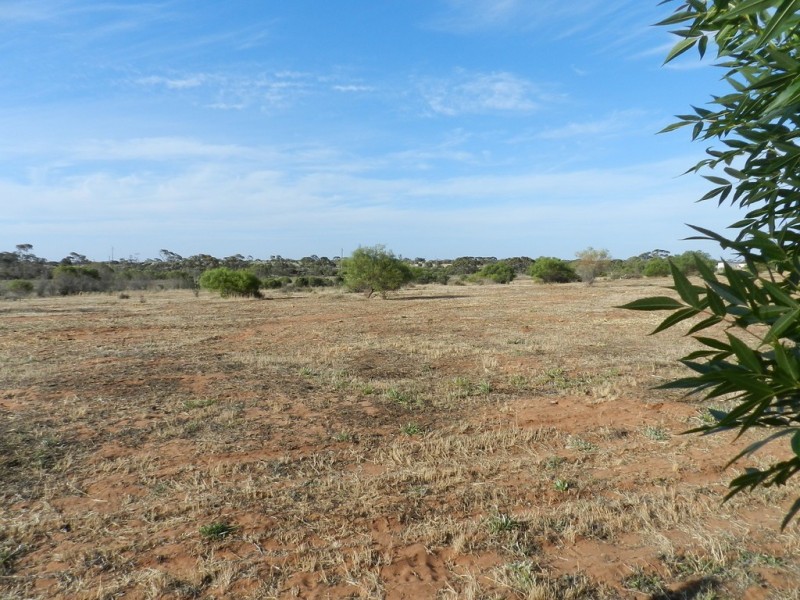 Section 75 Moss Road, Monash SA 5342