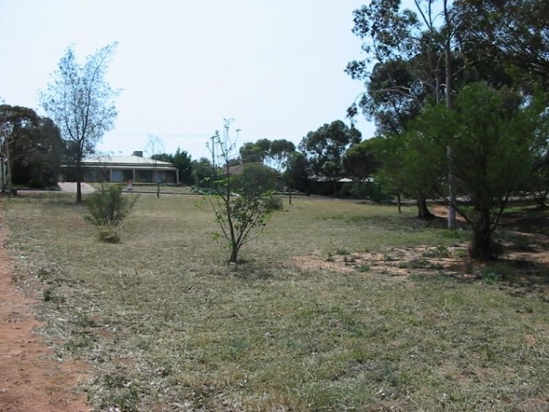 Lot 1 Dorothy Avenue, Paringa SA 5340