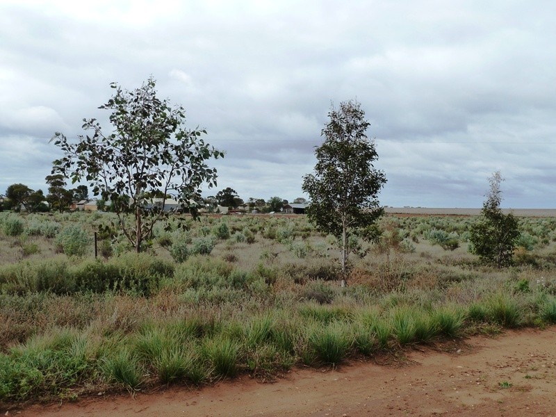 1445 Karoonda Highway, Loxton SA 5333