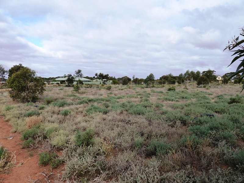 1445 Karoonda Highway, Loxton SA 5333