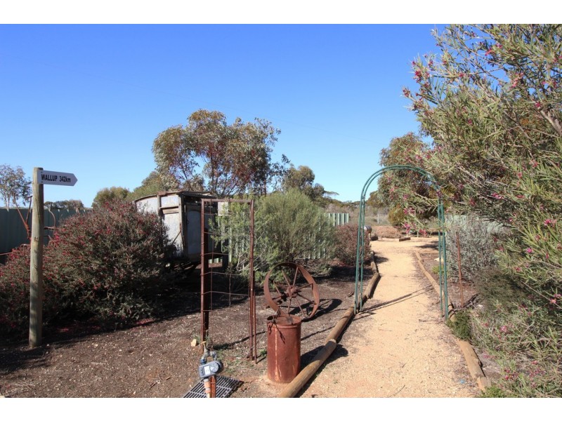 1445 Karoonda Highway, Loxton SA 5333