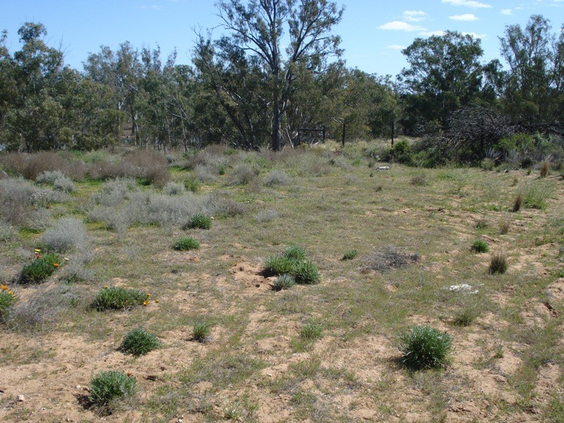 Lot 6 Apold Court, Morgan SA 5320