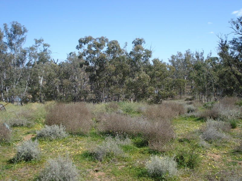 Lot 6 Apold Court, Morgan SA 5320