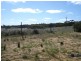 Lot 6 Apold Court, Morgan SA 5320