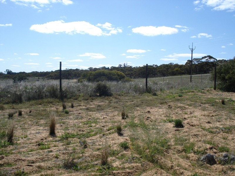 Lot 6 Apold Court, Morgan SA 5320
