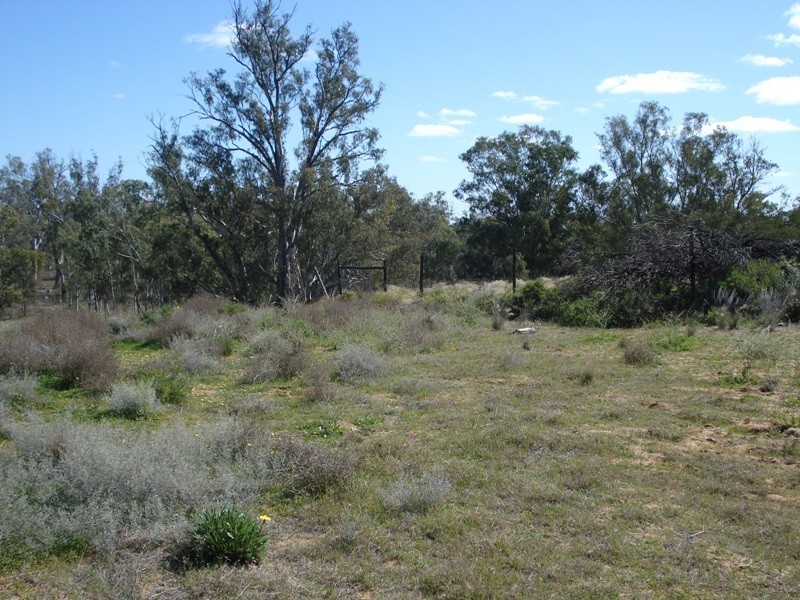 Lot 6 Apold Court, Morgan SA 5320