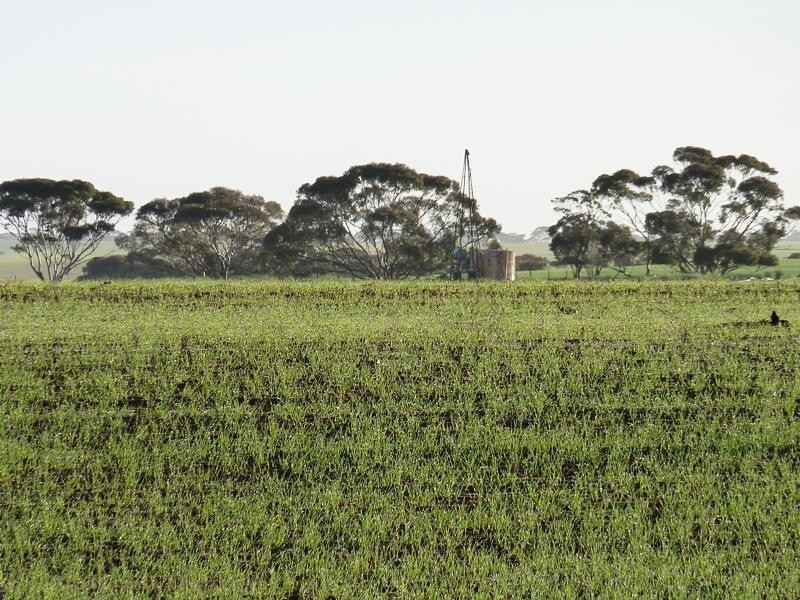 Section 29 and 266 Hundred of, Waikerie SA 5330