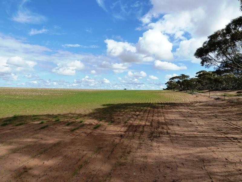 Section 29 and 266 Hundred of, Waikerie SA 5330