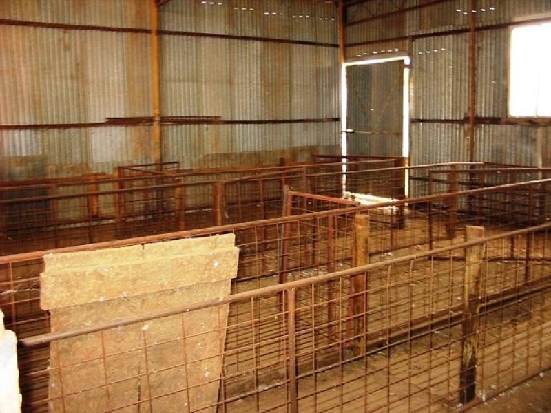 Section 29 and 266 Hundred of, Waikerie SA 5330