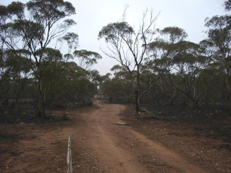 Lots 2 and 3 Boolgun Road, Waikerie SA 5330