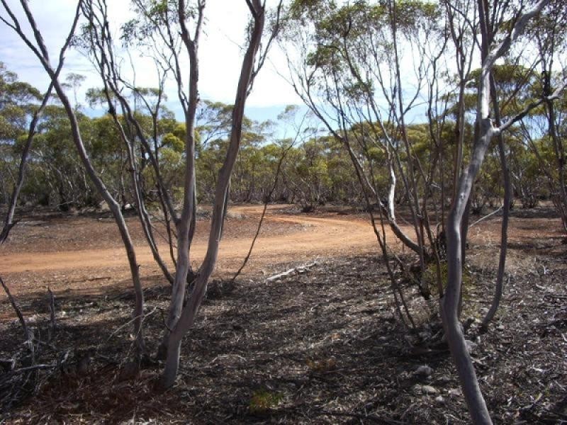 Lots 2 and 3 Boolgun Road, Waikerie SA 5330