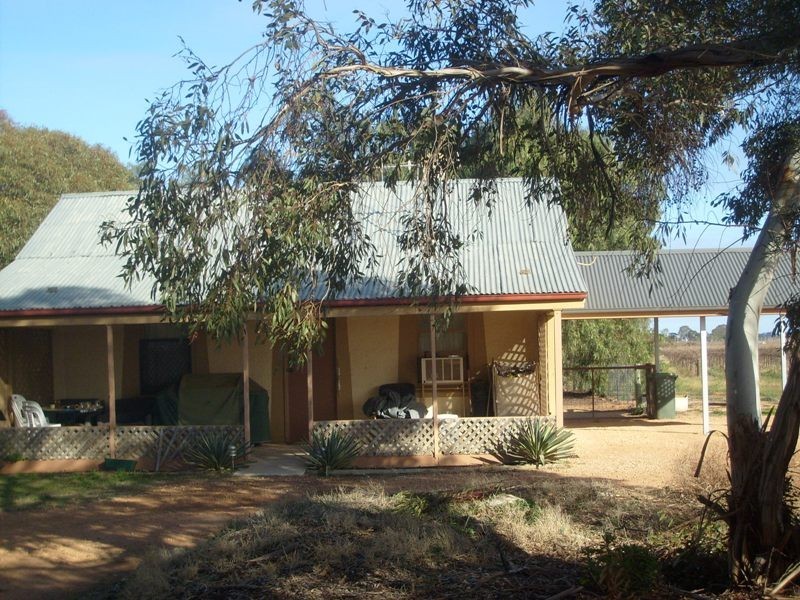 72 Thelma Road, Barmera SA 5345