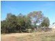 72 Thelma Road, Barmera SA 5345