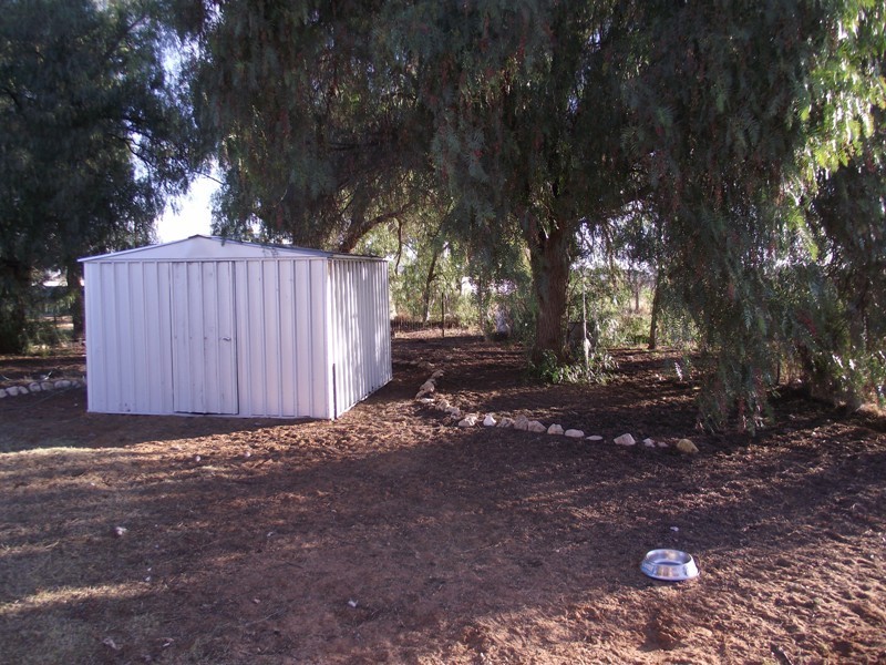 72 Thelma Road, Barmera SA 5345