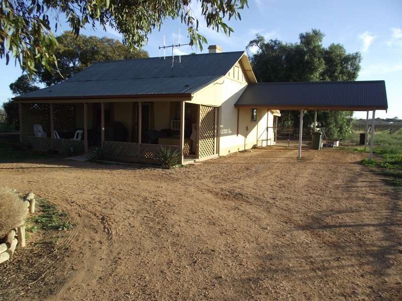 72 Thelma Road, Barmera SA 5345