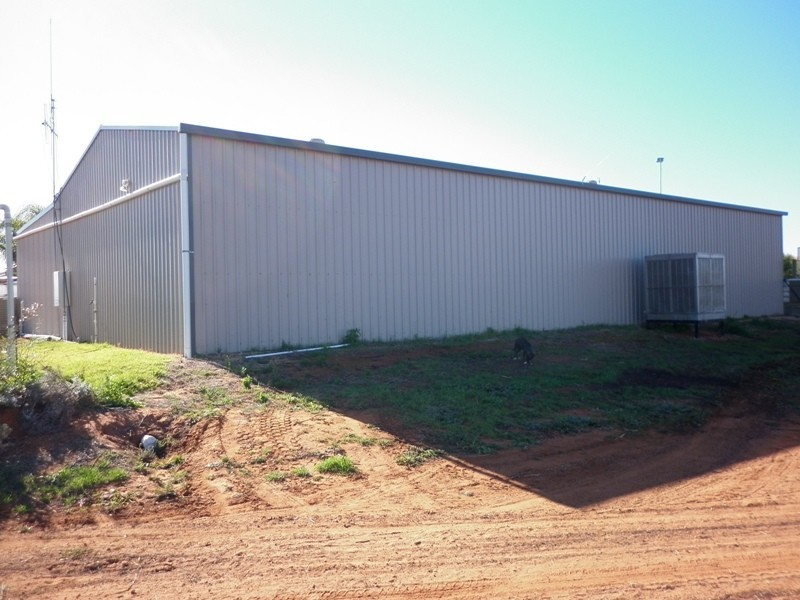 297 Ibis Road, Renmark SA 5341