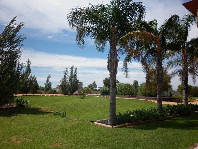 297 Ibis Road, Renmark SA 5341