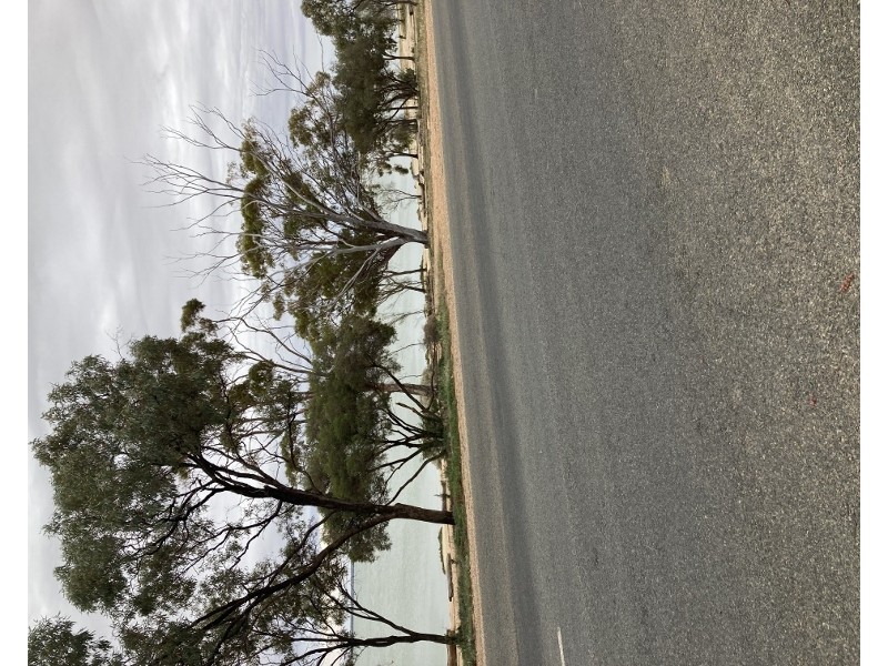 20 Queen Elizabeth Drive, Barmera SA 5345