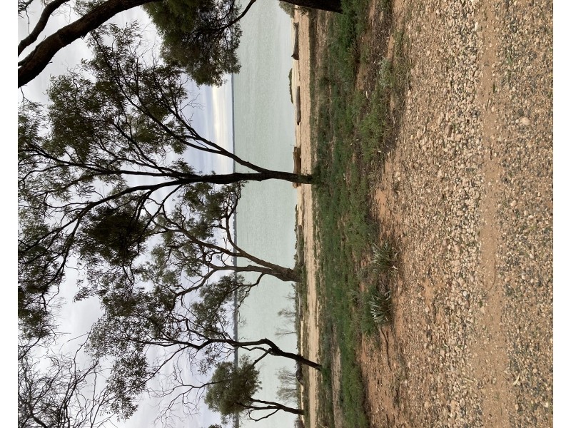 20 Queen Elizabeth Drive, Barmera SA 5345