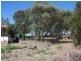 847  Taylorville Road, Waikerie SA 5330