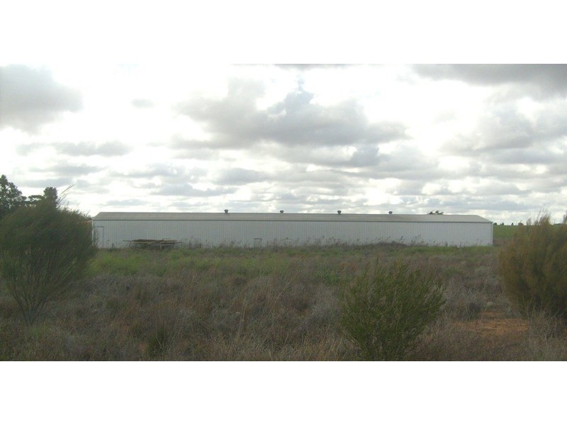 Lot 50 Twigden Road, Waikerie SA 5330