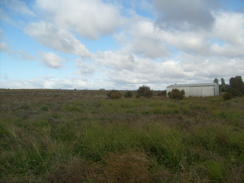Lot 50 Twigden Road, Waikerie SA 5330