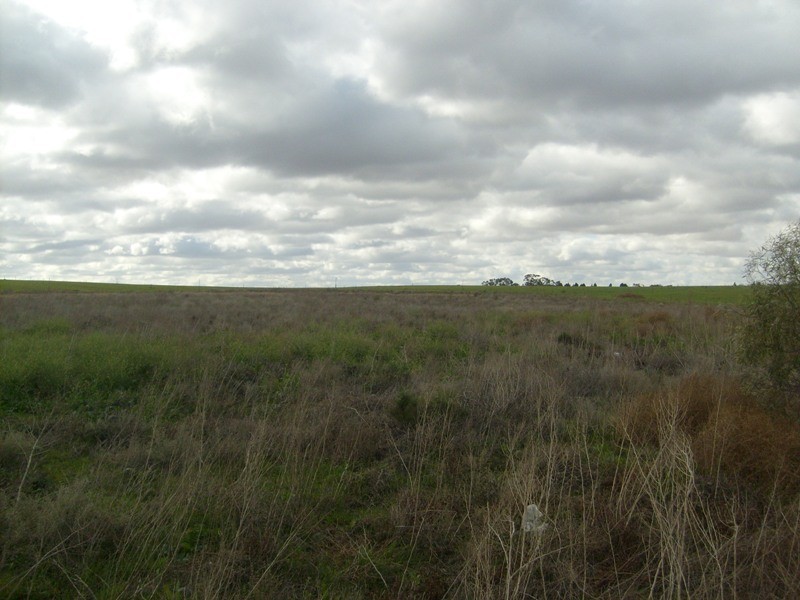 Lot 50 Twigden Road, Waikerie SA 5330