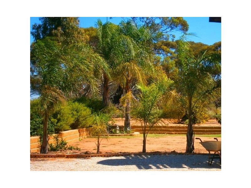 11626 Goyder Highway, Waikerie SA 5330