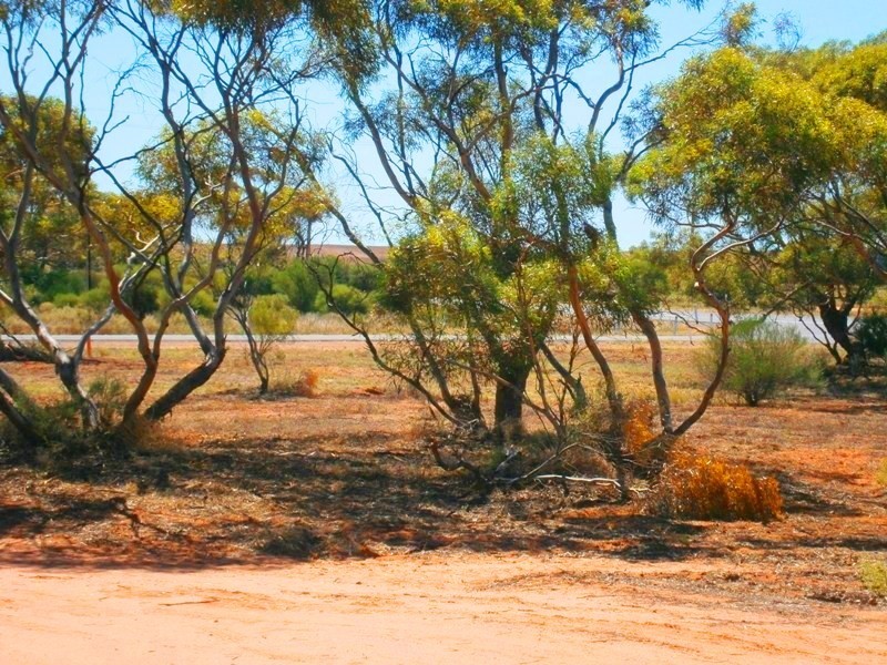 11626 Goyder Highway, Waikerie SA 5330