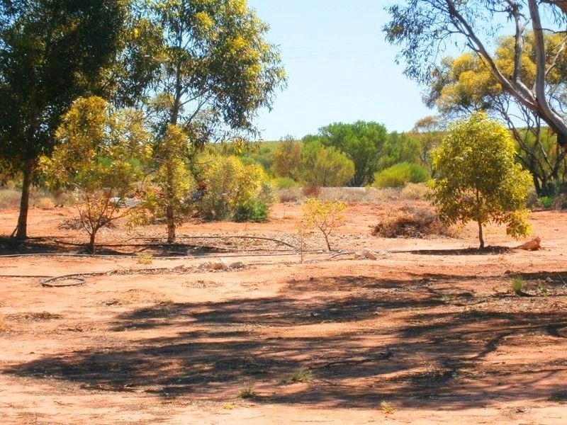 11626 Goyder Highway, Waikerie SA 5330