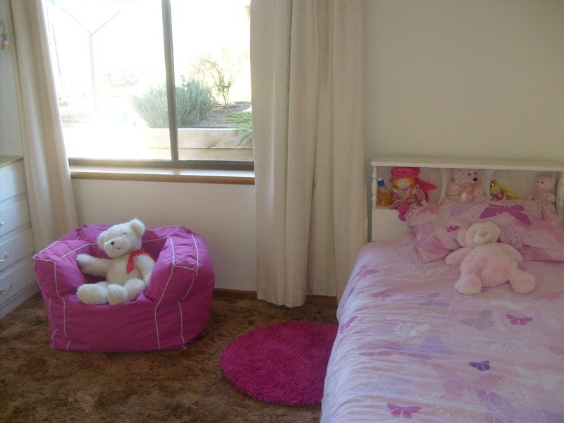 88 Virgo Road, Waikerie SA 5330