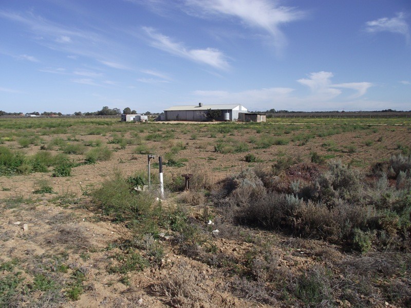 155 English Road, Barmera SA 5345